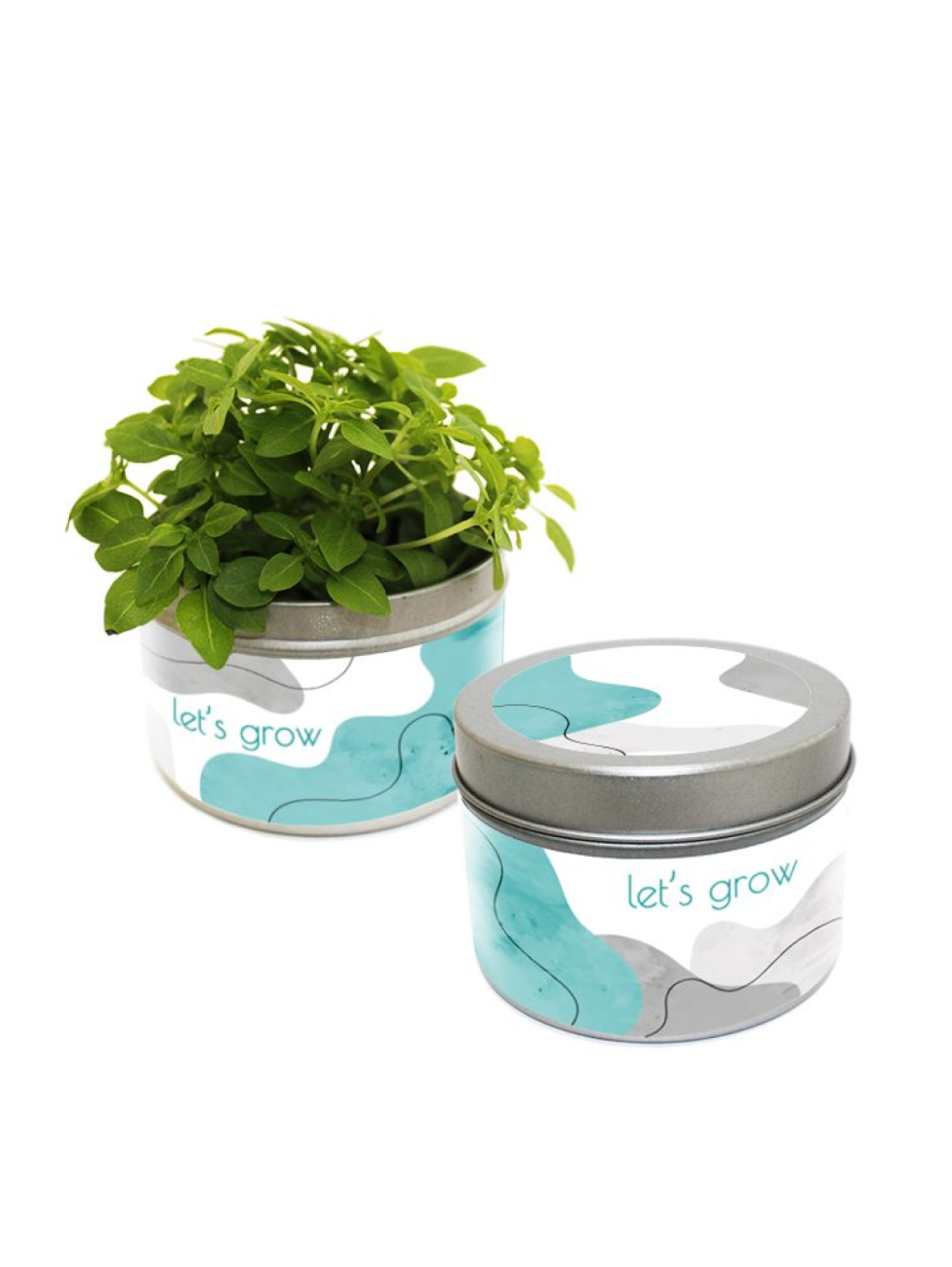 Sada pro vypěstování rostlinky v plechovce