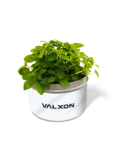 Sada pro vypěstování rostlinky v plechovce