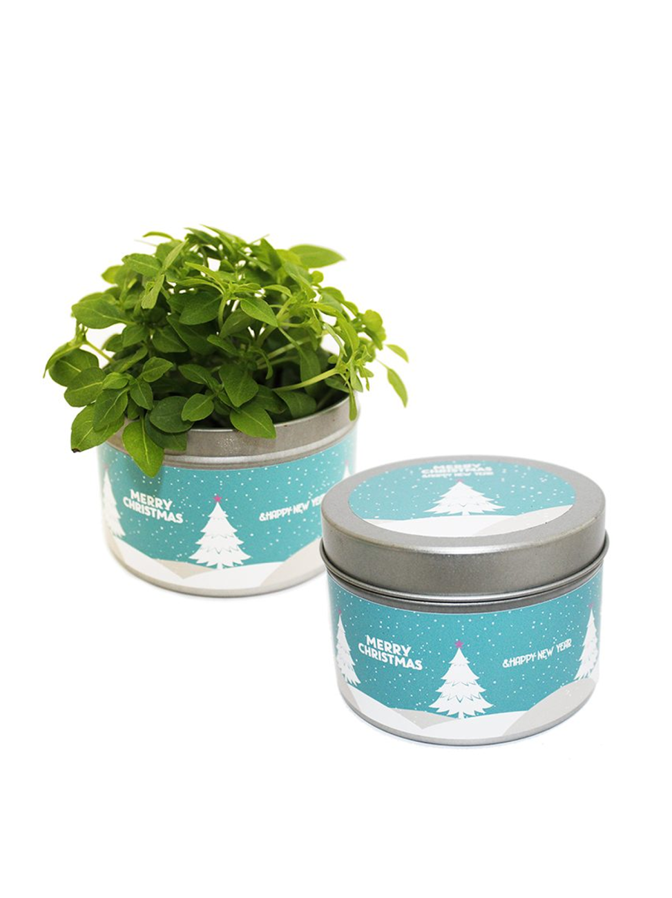 Sada pro vypěstování rostlinky v plechovce