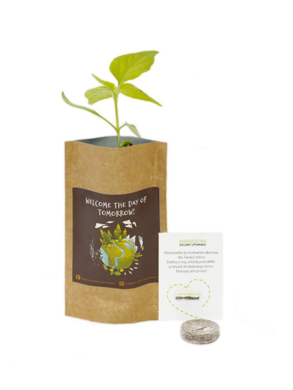 Rostlinka v papírovém sáčku