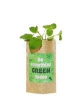 Rostlinka v papírovém sáčku
