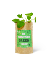 Rostlinka v papírovém sáčku